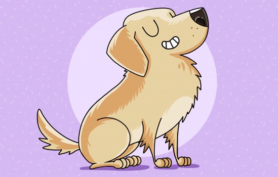 ¿Y si adopto un perro?